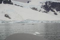 
DSC00141
